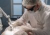 Dermapen czy laser frakcyjny na blizny potrądzikowe: co wybrać przy głębokich ubytkach? Dermapen czy laser frakcyjny na blizny potrądzikowe: co wybrać przy głębokich ubytkach?